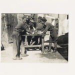 F.do Fam. Pistolesi Umberto - Monterubbiano