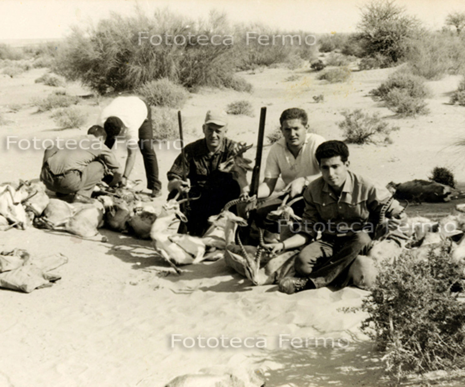 Fondo Famiglia Del Zozzo