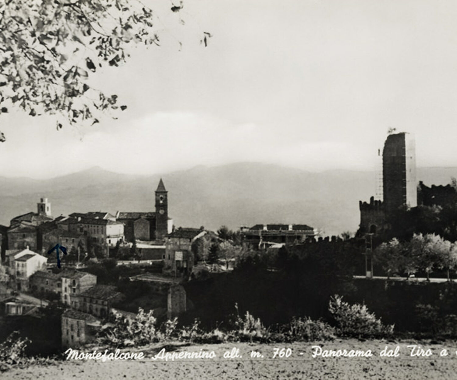 F.do Fam. De Cesaris Luigi e Paola - Comunanza